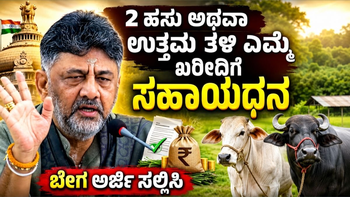 cow subsidy